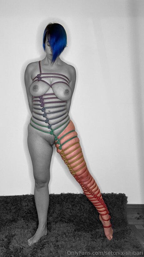 Setonix Shibari star art archive