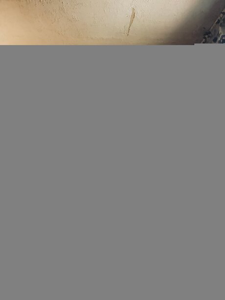 Sexyfoxy Ana perfect pornstar picture