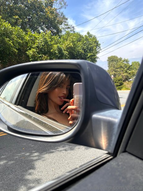 Cicofox star art galleries