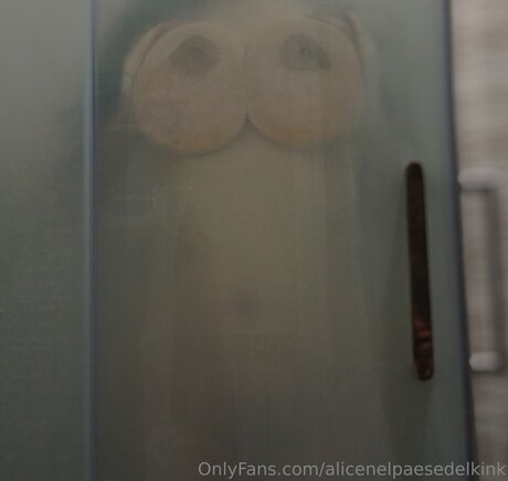 Alicenelpaesedelkink beautiful actress pics