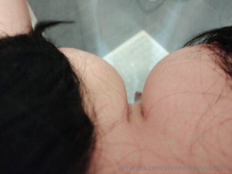 Alicenelpaesedelkink model nice img