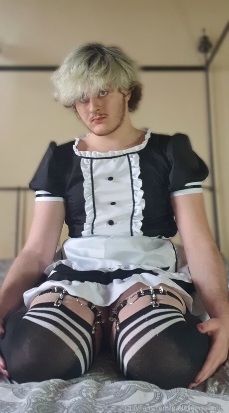 Padelleinsalamoia art pornstar archive