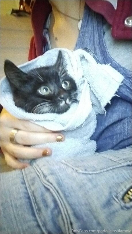 Padelleinsalamoia perfect model photos