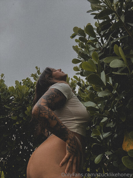 Stucklikehoney star nice pic