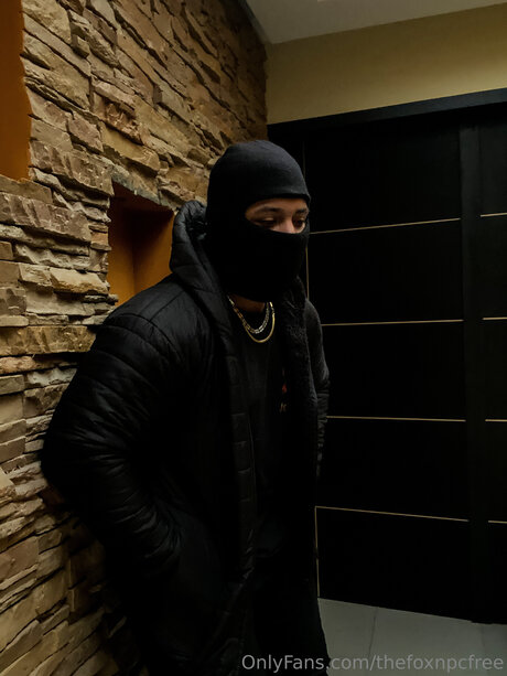 Thefoxnpcfree star erotic picture