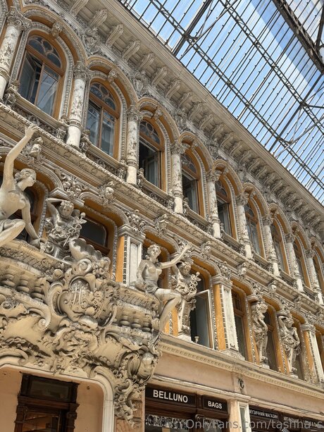 Tashha S pornstar perfect galleries