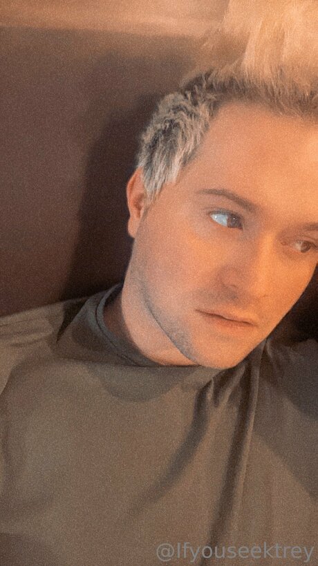 Ifyouseektreyfree art star pic