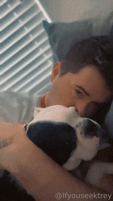 Ifyouseektreyfree pretty pornstar archive