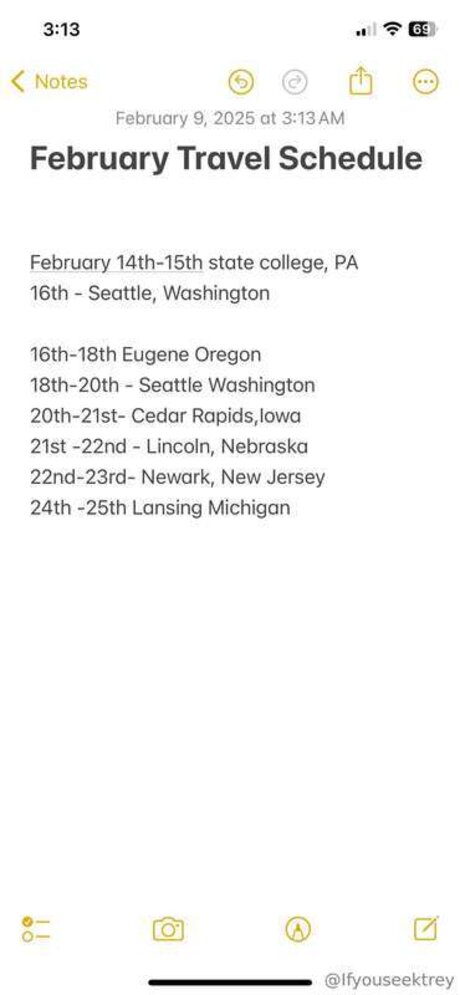 Ifyouseektreyfree star nice img