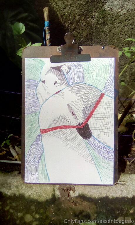 Assentoagudo star nice images