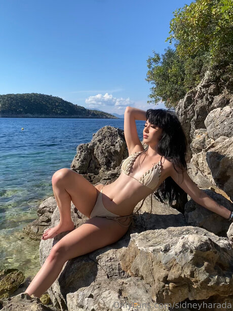 Sidneyharada beautiful star images