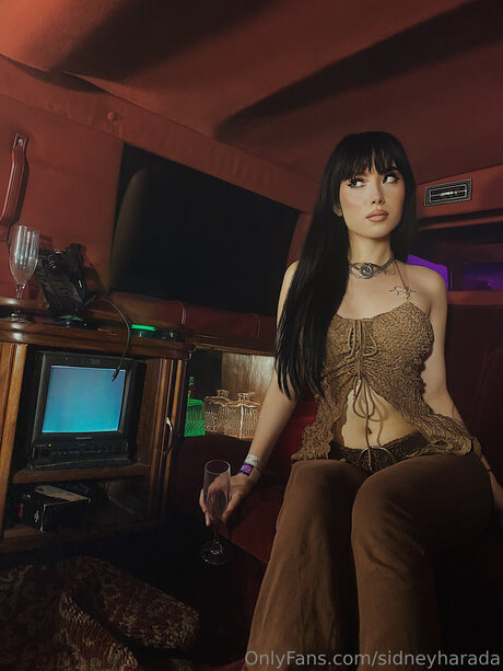 Sidneyharada beautiful star galleries