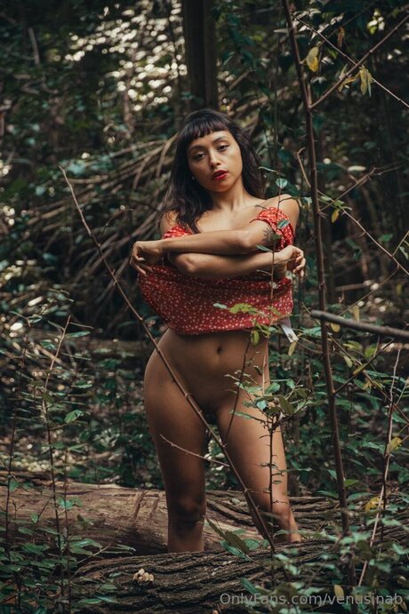 Venusinab star xxx images