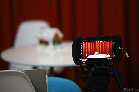 Tiny Loly star nude gallery