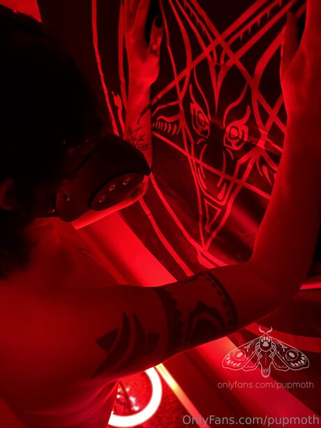 Pupmoth pornographic star images