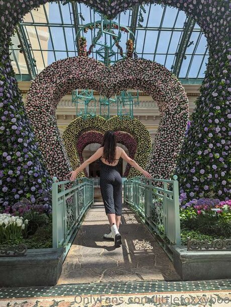 Littlefoxxyboo star hd photo