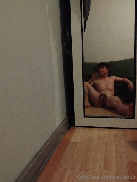 Petitnico high quality pornstar picture