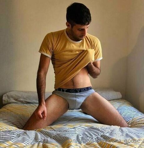 Delta Goose naked model archive