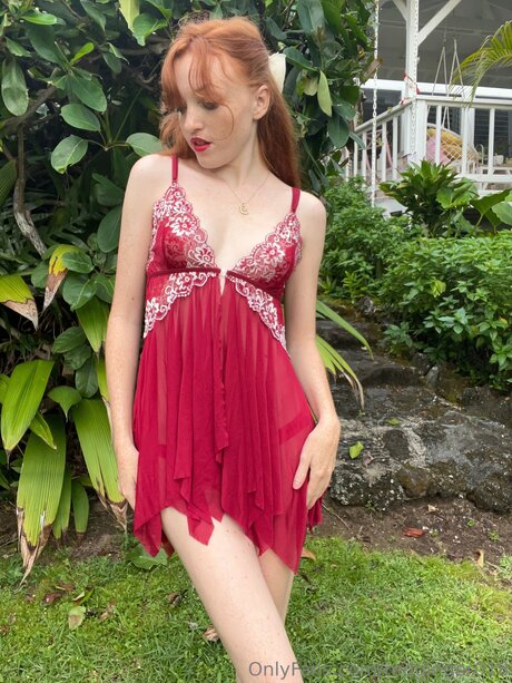 Redginger018 star hd photo