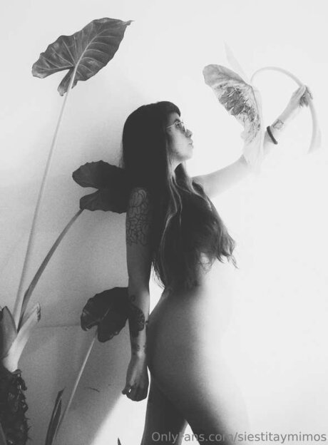 Siestitaymimos pornstar pretty image