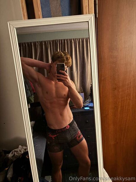 Sneakkysam free model image