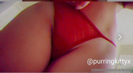 Theinferno69 star perfect gallery