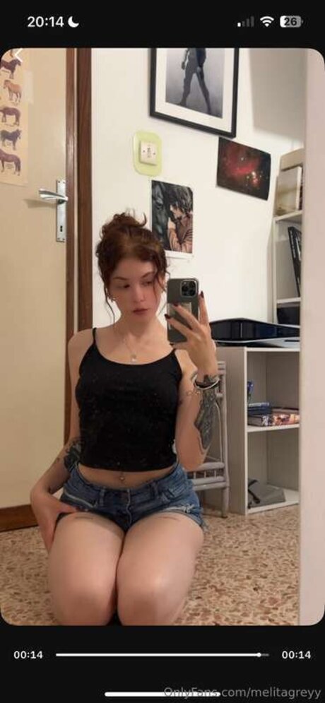 Melitagreyy free model images