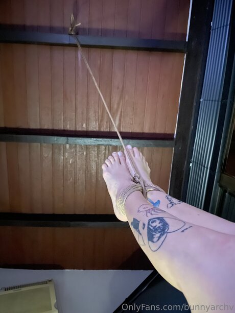 Bunnyarchv star high quality gallery