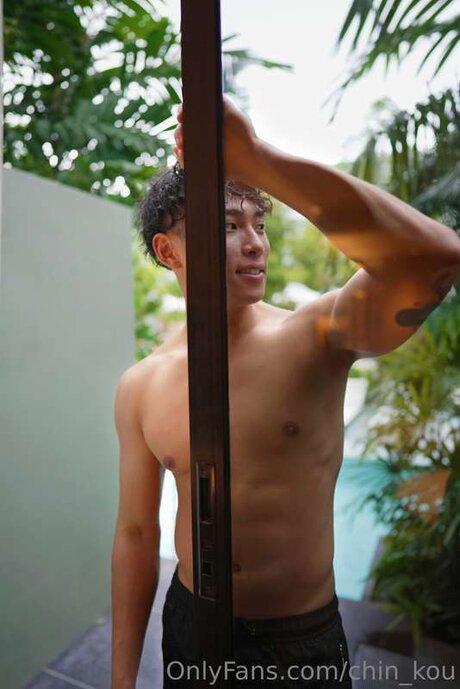 Chin Kou top star image