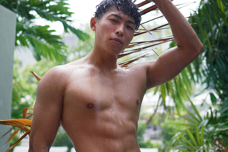 Chin Kou star free picture