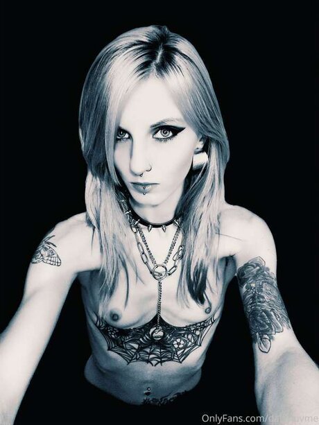 Daisyluvme star perfect picture