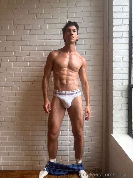 Leotyler art star img