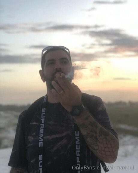 Airmaxbull star perfect gallery