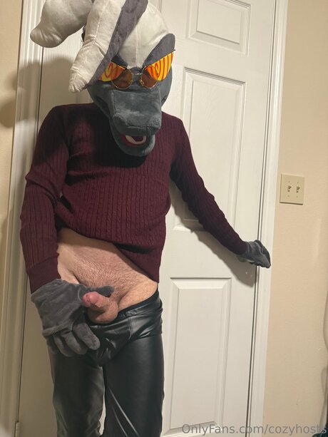 Cozyhosts free pornstar gallery