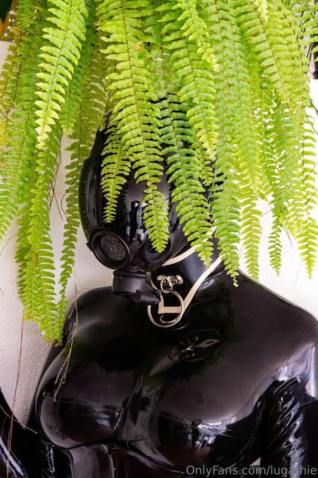 Lugathie star porn picture