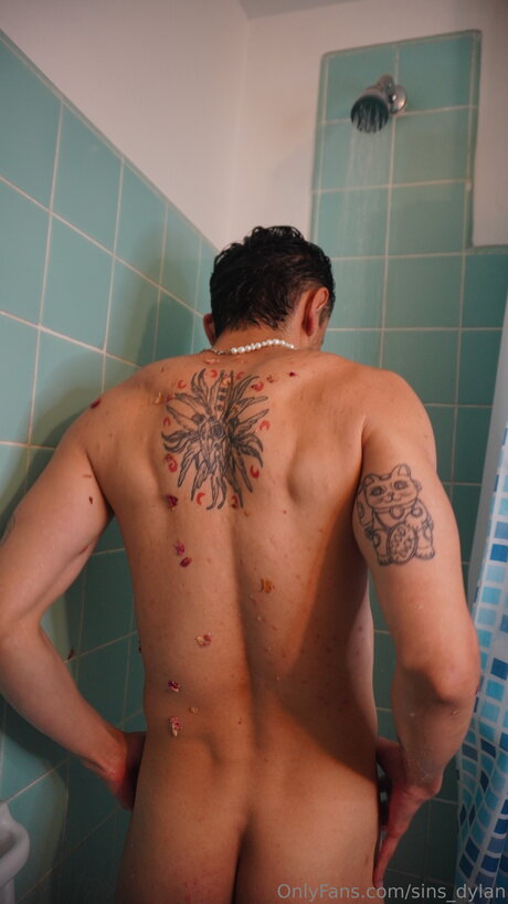 Sins Dylan model top img