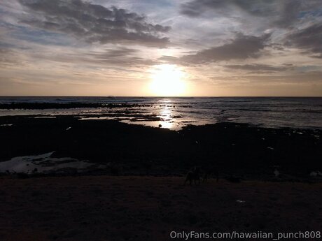 Hawaiian Punch808 high quality star image