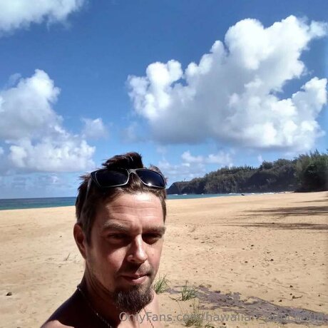 Hawaiian Punch808 model art image