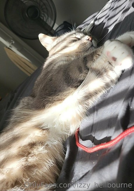 izzy hellbourne model nudes images