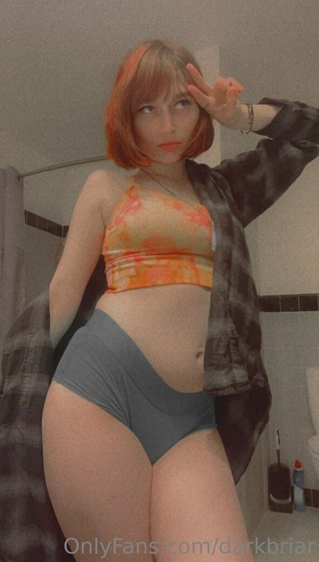 darkbriar high quality model img