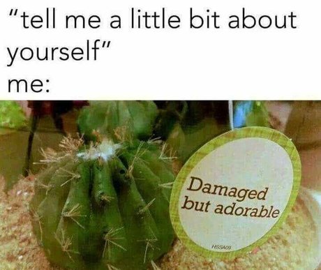 alexiwildexxx model art galleries