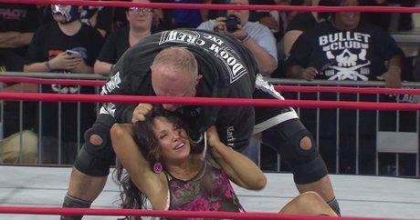 Mickie James art model picture