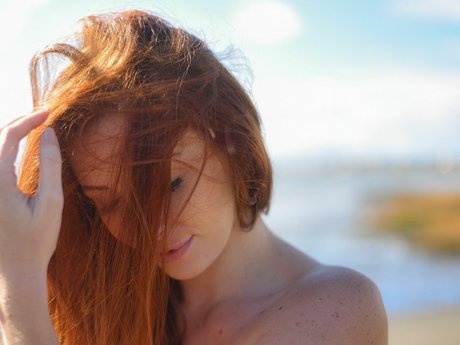 Dane Halo pornstar nudes pic