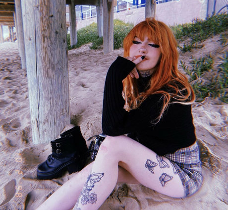 Haylayly star art photos