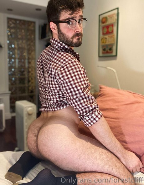 forestcliff free model galleries