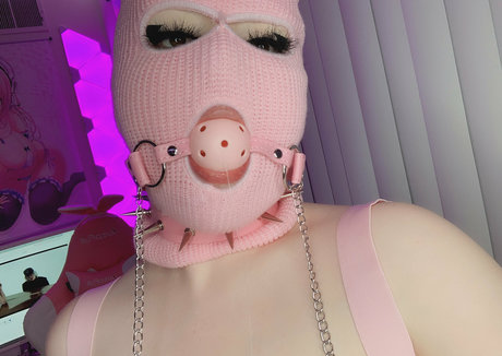 jossijpeg star top photo