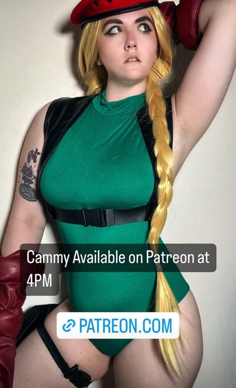 Dog Biscuits high quality star galleries