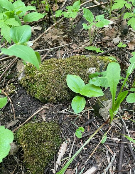 crystallizedfairy model porn photos