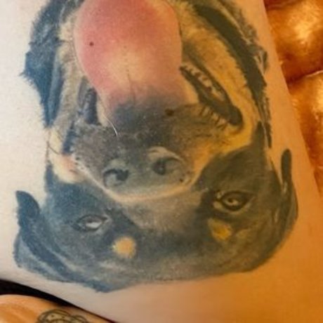 Jodie Marsh sex actress image