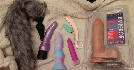 sunnyssunfree star high quality images